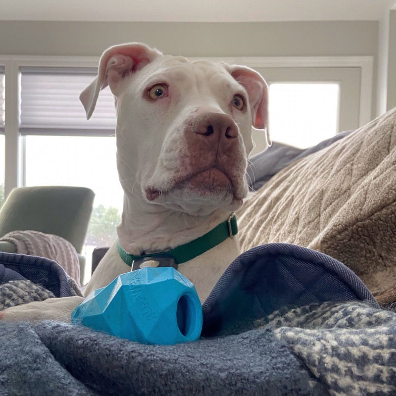 Ruffwear Gnawt-a-Cone Rubber Dog Toy