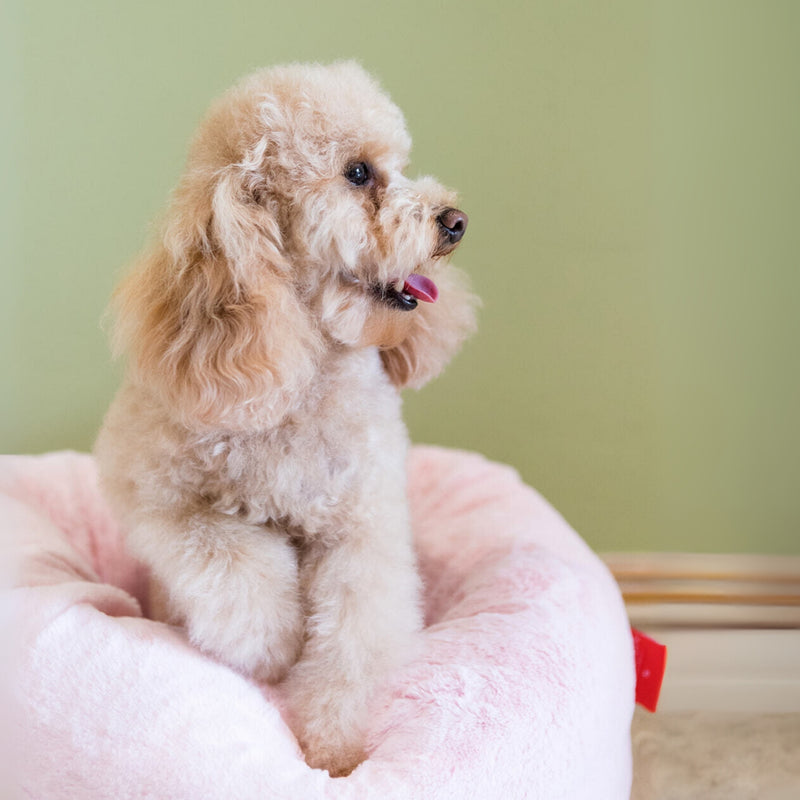 Dog's Life Calming Donut Cuddler Bolster Bed