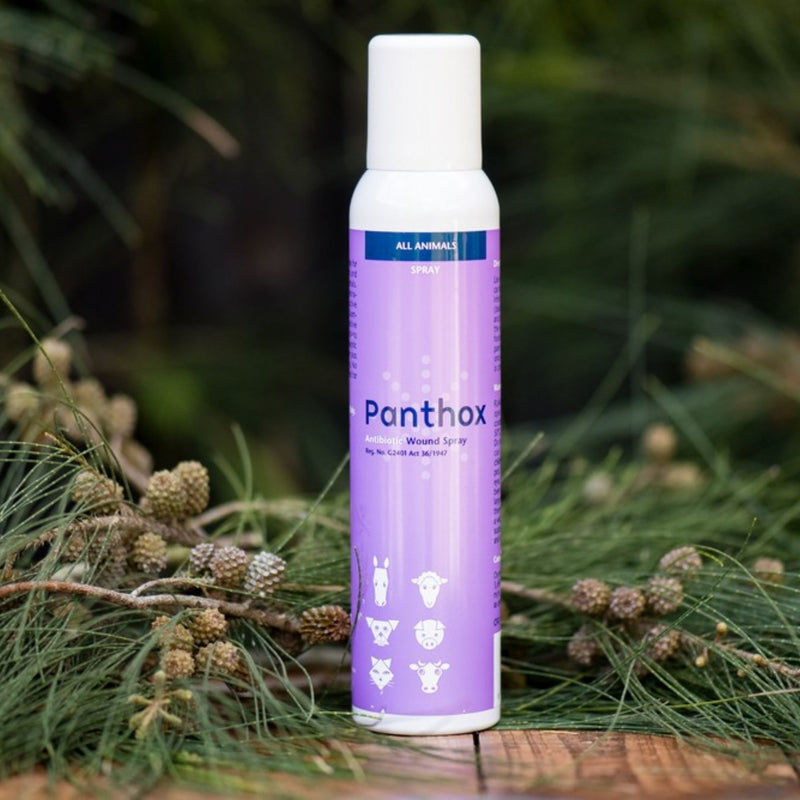 Panthox Antibiotic Wound Spray 200ml