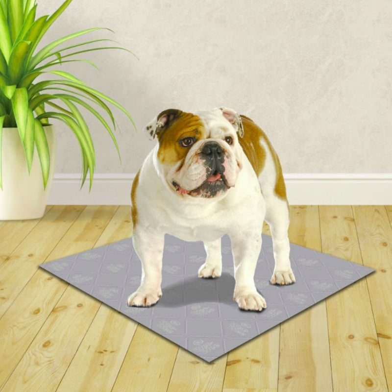 Wee-Wee Premium Patch Washable Dog Pee Pad 3 Pack