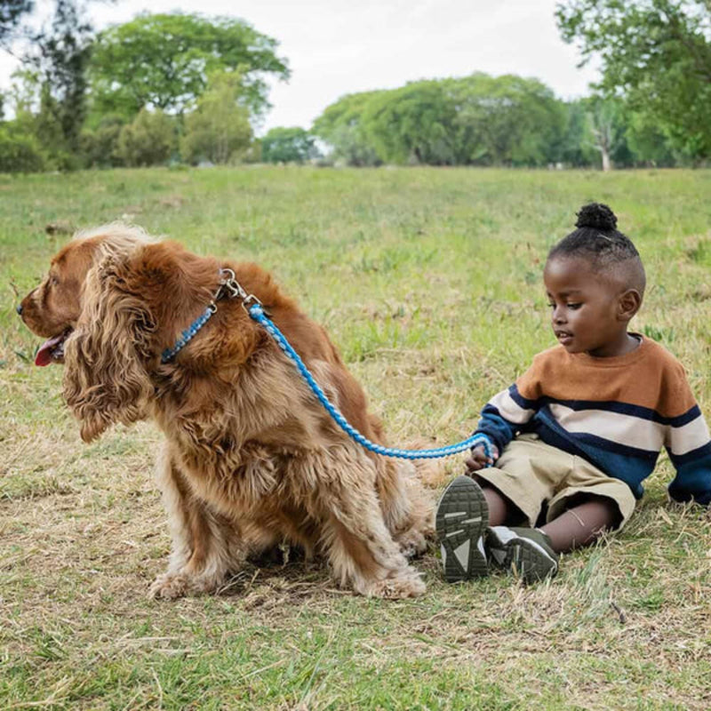 Lead with Love Kiddies Dog Lead