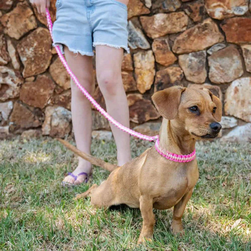 Lead with Love Kiddies Dog Lead