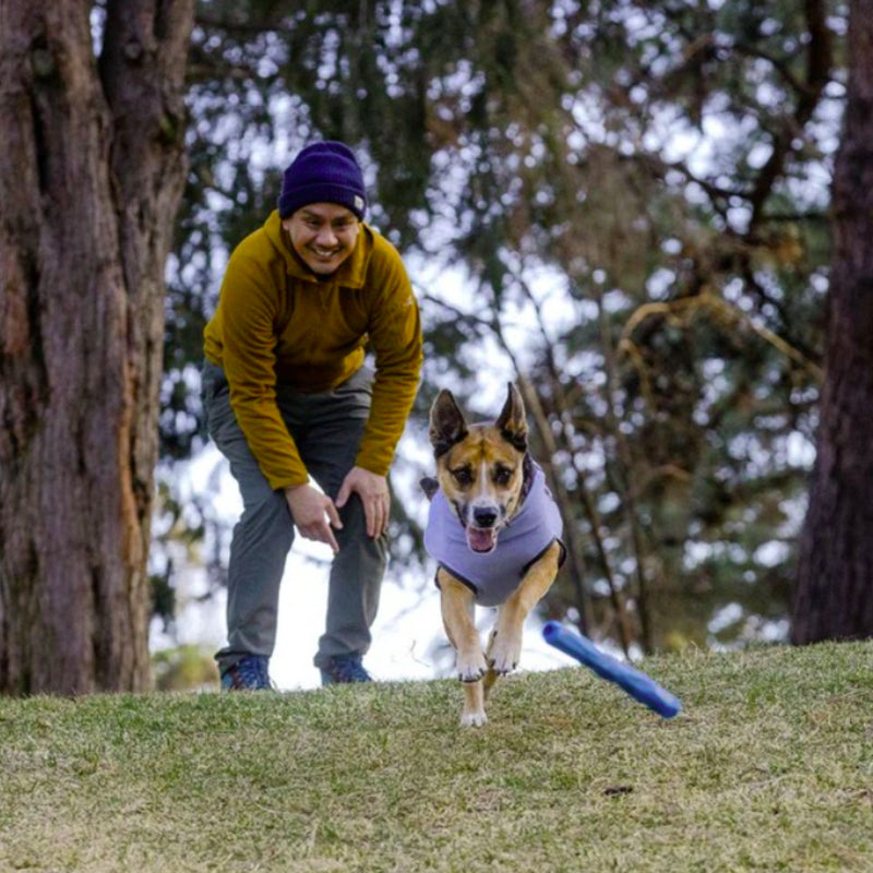 Ruffwear Gnawt-a-Stick Dog Toy