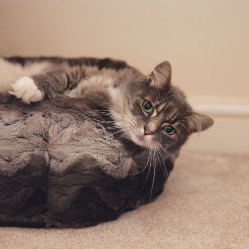 Rosewood Grey & Cream Snuggle Plush Oval Bed – 38cm