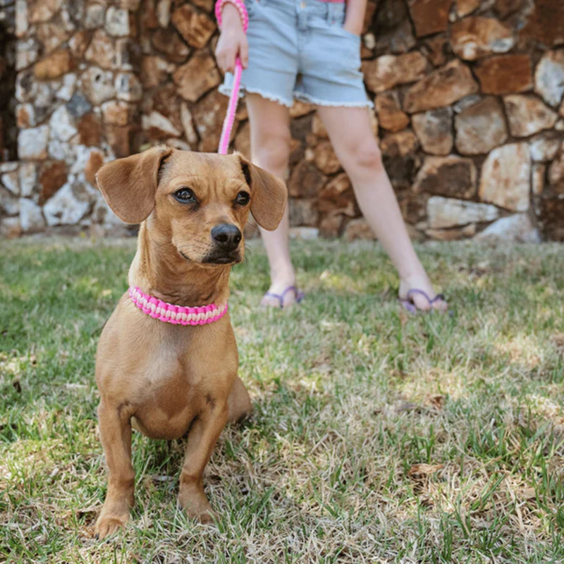 Lead with Love Kiddies Mini Lead