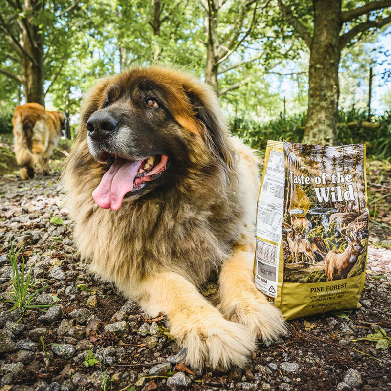 Taste of the Wild Canine Pine Forest All Life Stages Formula – Venison