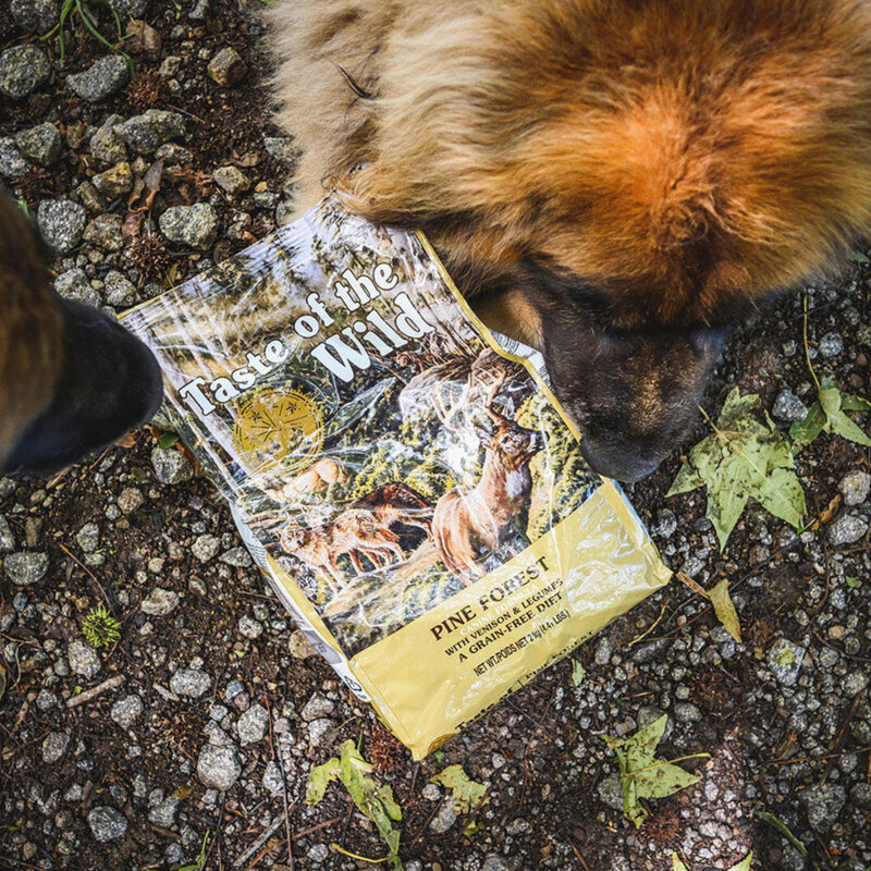 Taste of the Wild Canine Pine Forest All Life Stages Formula – Venison