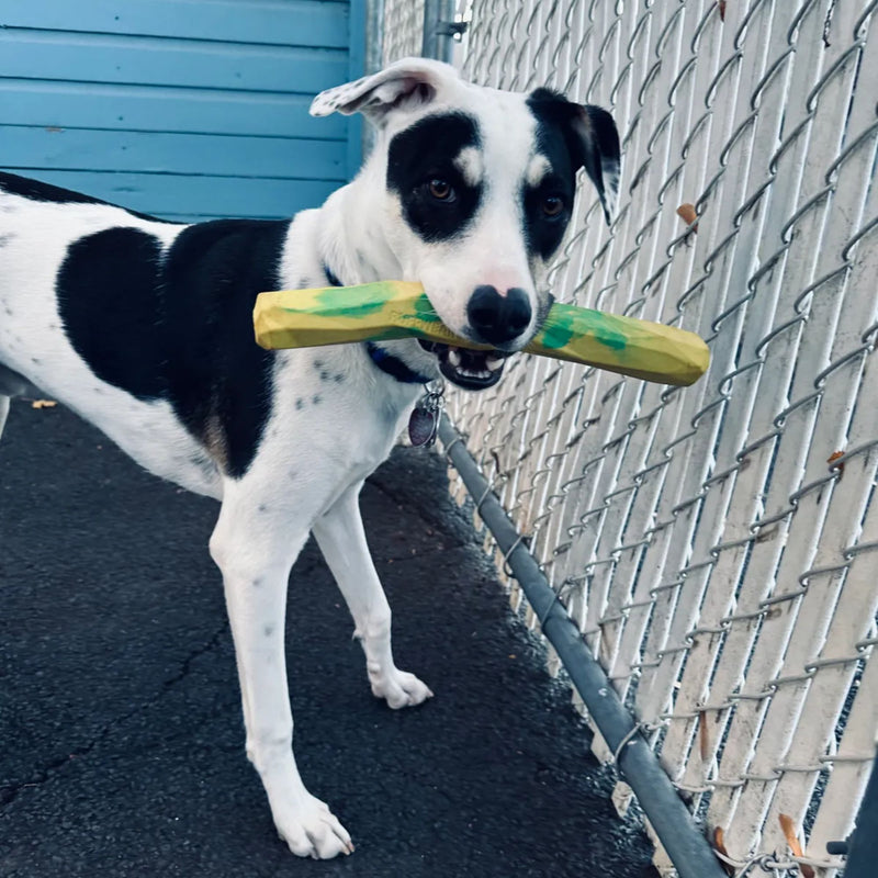 Ruffwear Gnawt-a-Stick Dog Toy