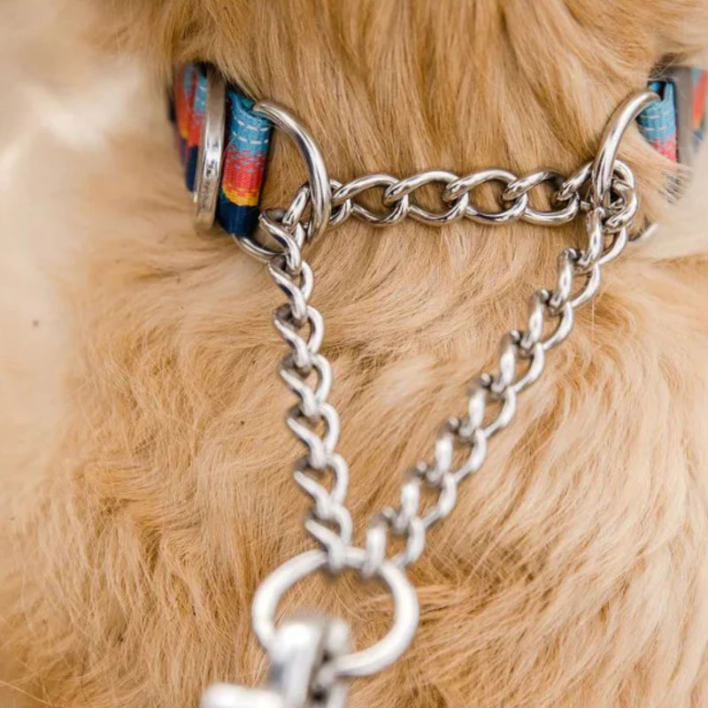 Ruffwear Chain Reaction Half-Check Dog Collar