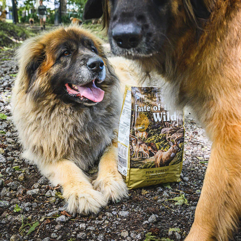 Taste of the Wild Canine Pine Forest All Life Stages Formula – Venison
