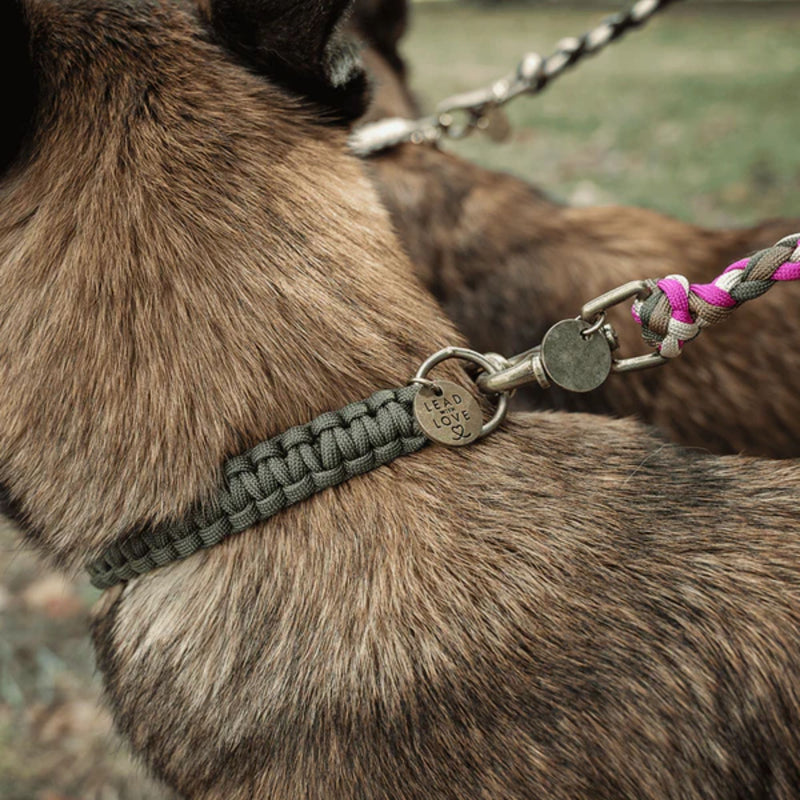 Lead with Love Classic Dog Collar