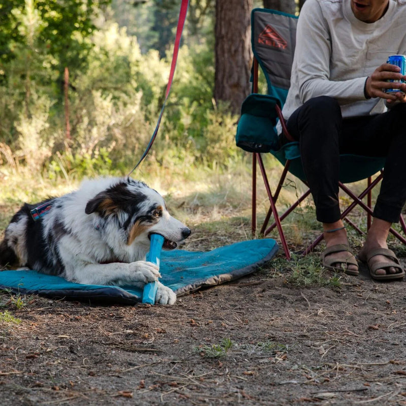 Ruffwear Gnawt-a-Stick Dog Toy