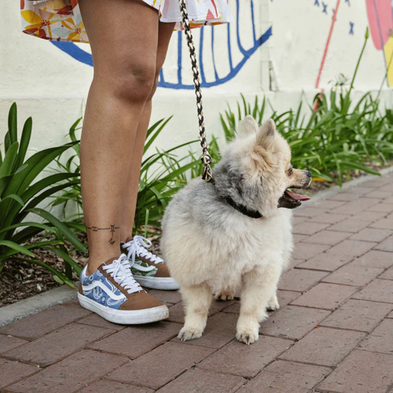 Lead with Love Classic Dog Collar