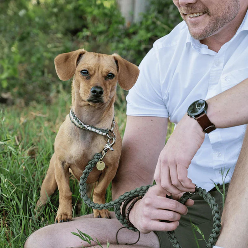 Lead with Love Classic Dog Collar