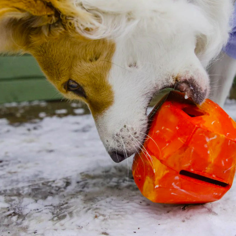 Ruffwear Gnawt-A-Rock™ Dog Toy