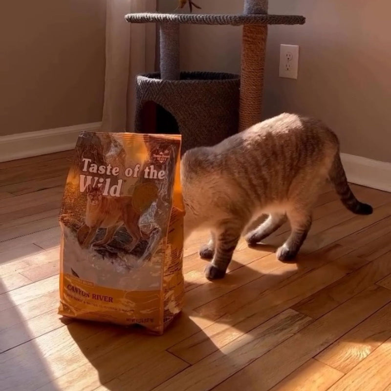 Taste of the Wild Feline Canyon River All Life Stages Formula – Trout & Smoked Salmon
