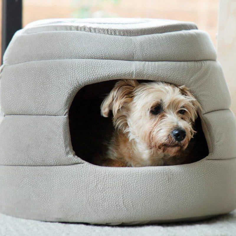 Best Friends by Sheri Honeycomb Dome Pet Bed