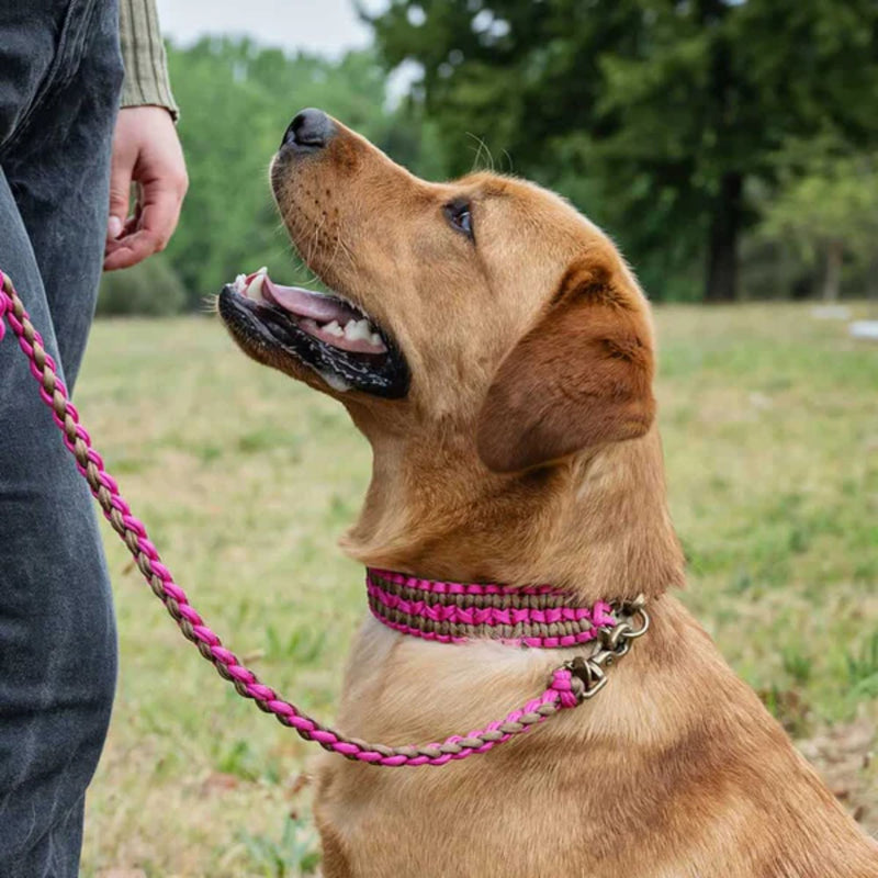 Lead with Love Double Wide Dog Collar