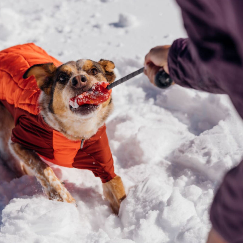 Ruffwear Huck-a-Cone Dog Toy