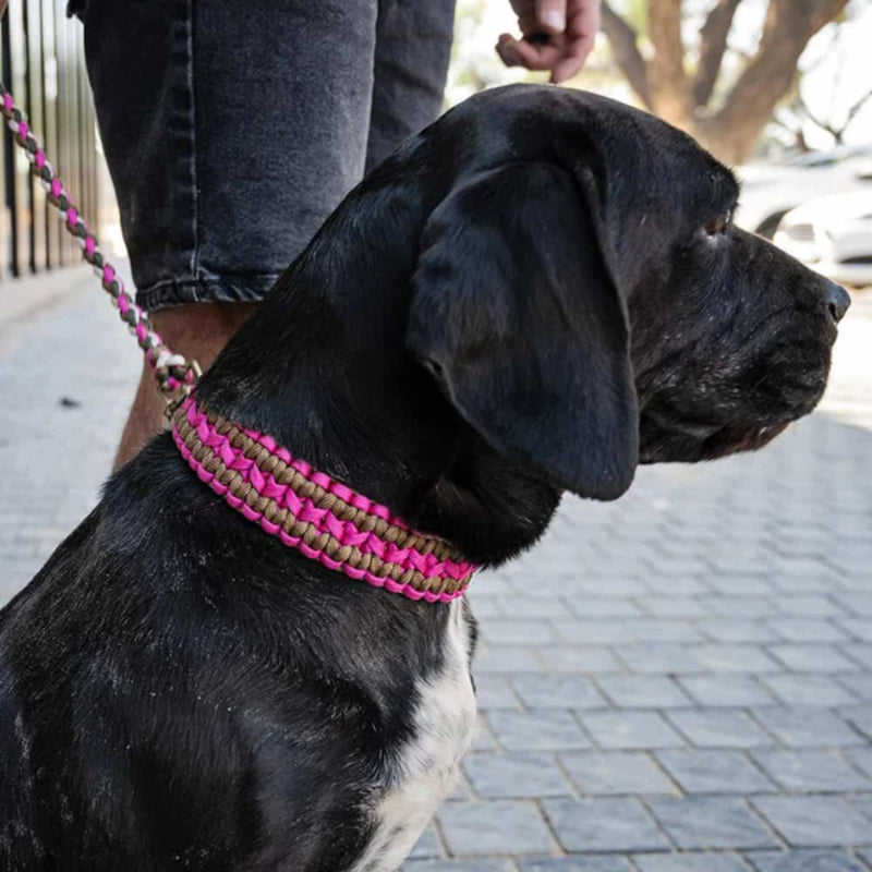 Lead with Love Double Wide Dog Collar