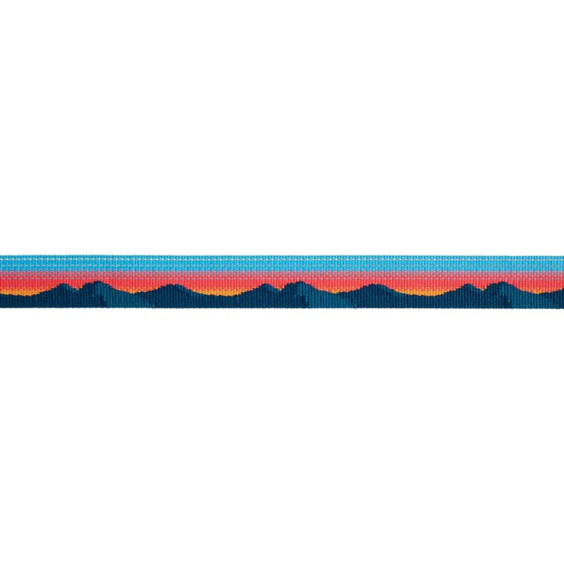 Ruffwear Chain Reaction Half-Check Dog Collar