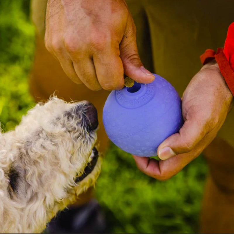 Ruffwear Huckama Rubber Dog Toy