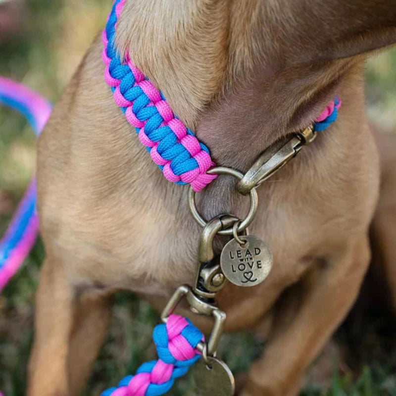 Lead with Love Kiddies Dog Collar