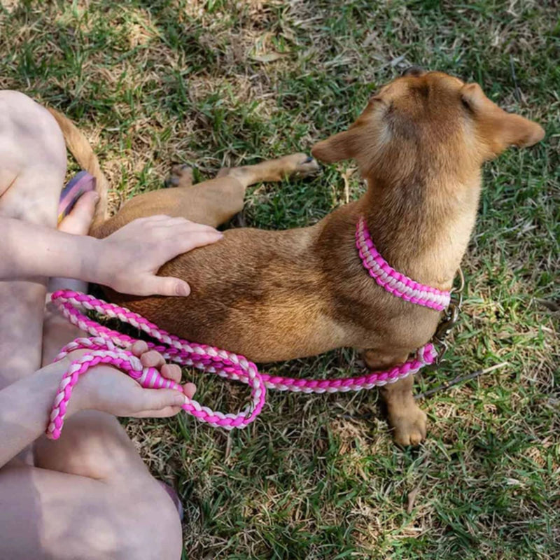 Lead with Love Kiddies Dog Collar