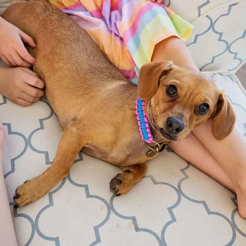 Lead with Love Kiddies Dog Collar