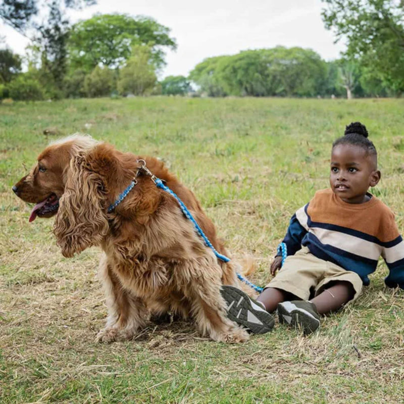 Lead with Love Kiddies Dog Collar