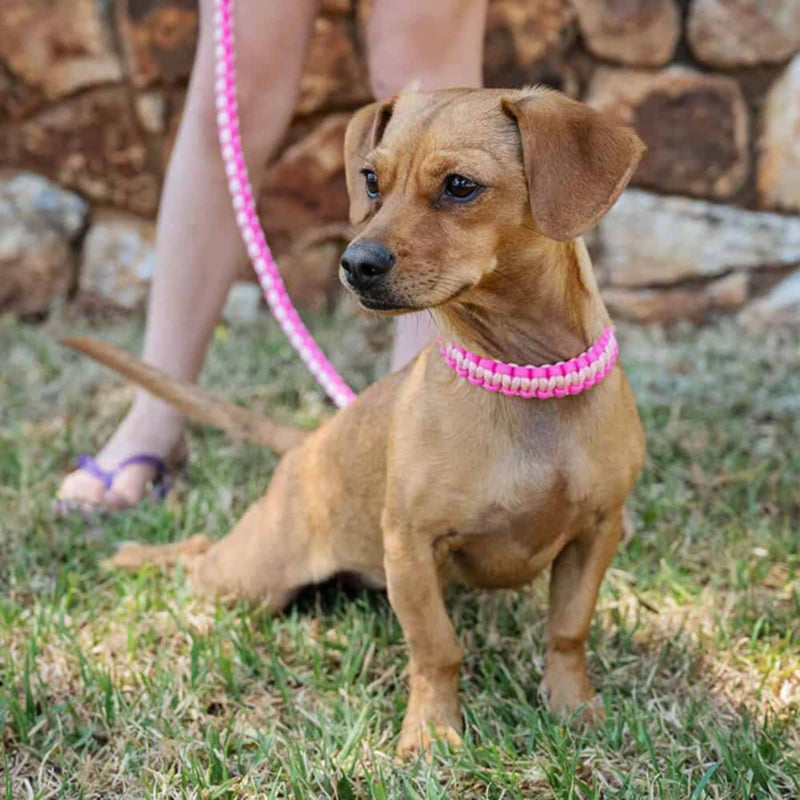 Lead with Love Kiddies Dog Collar