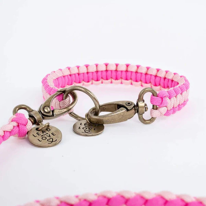 Lead with Love Kiddies Dog Collar