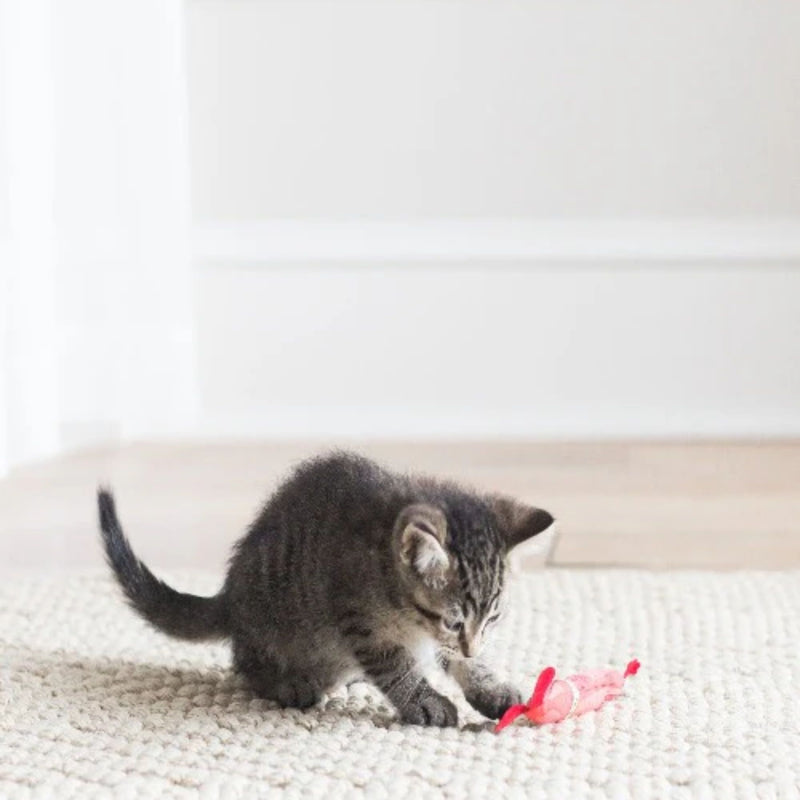 Fat Cat Classic Appeteasers Catnip Toys 2 Pack