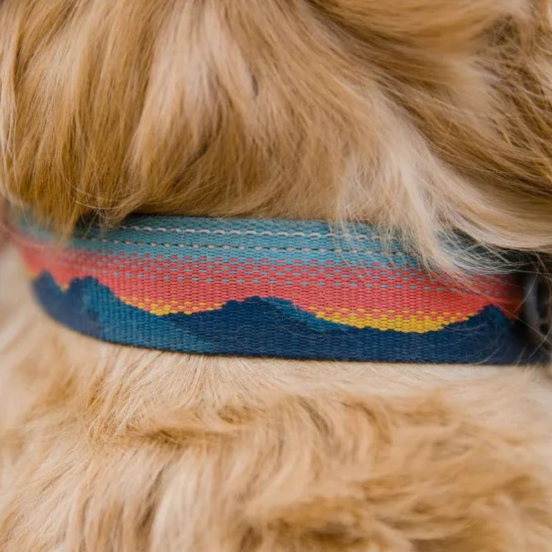 Ruffwear Chain Reaction Half-Check Dog Collar