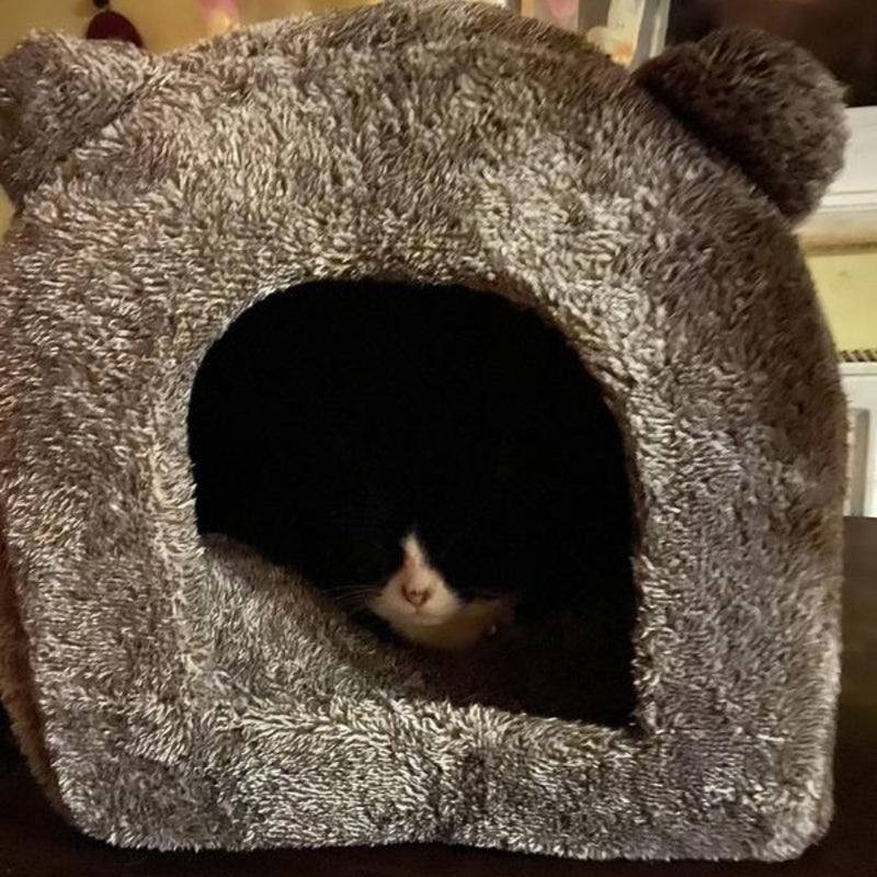 Rosewood Teddy Bear Cat Bed – Soft Plush Square