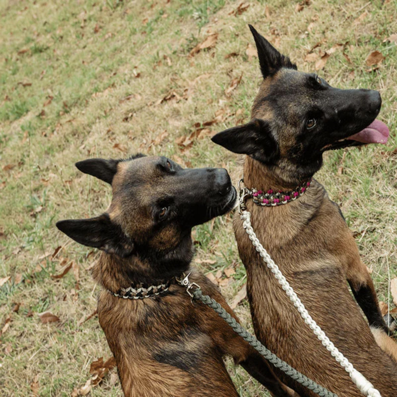 Lead with Love Classic Dog Lead Splitter