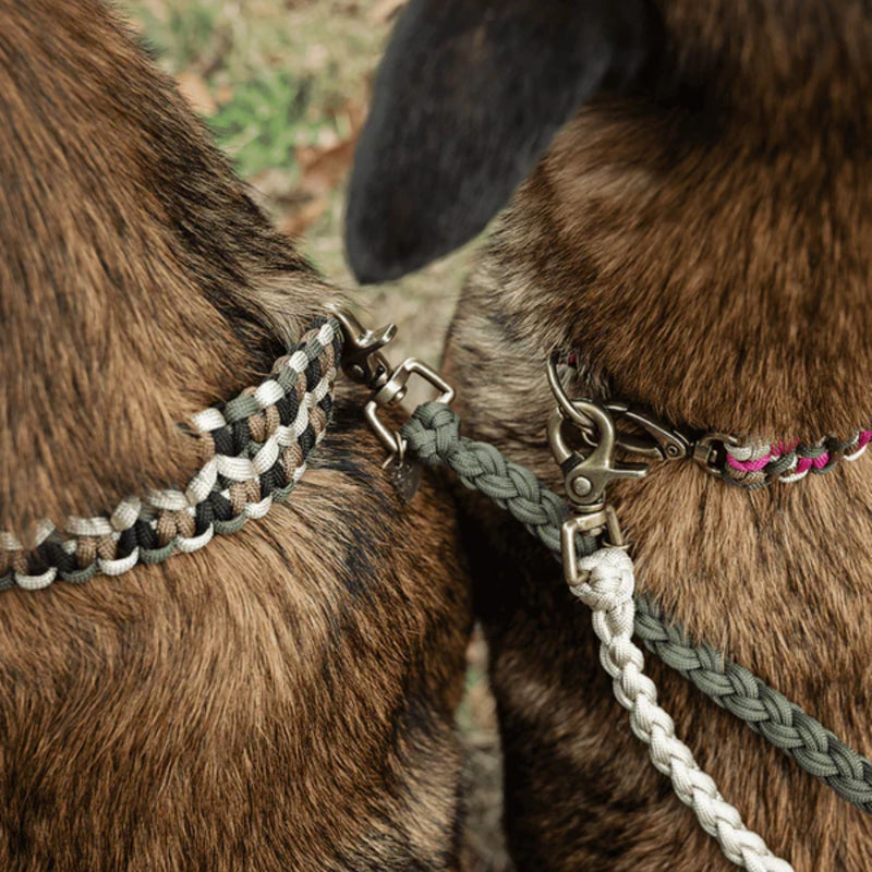 Lead with Love Classic Dog Lead Splitter