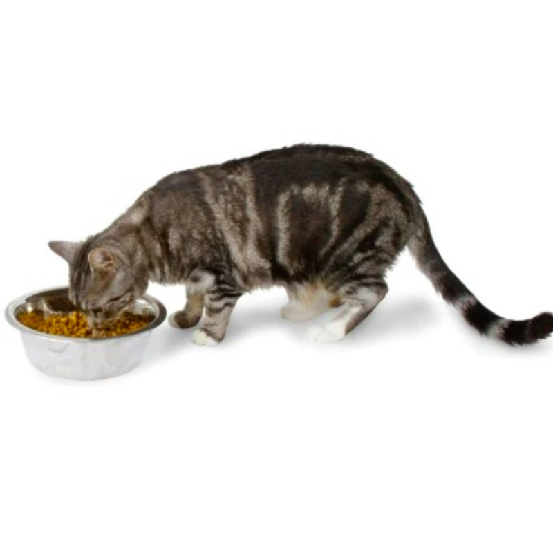 Petmate Stainless Steel Pet Bowl