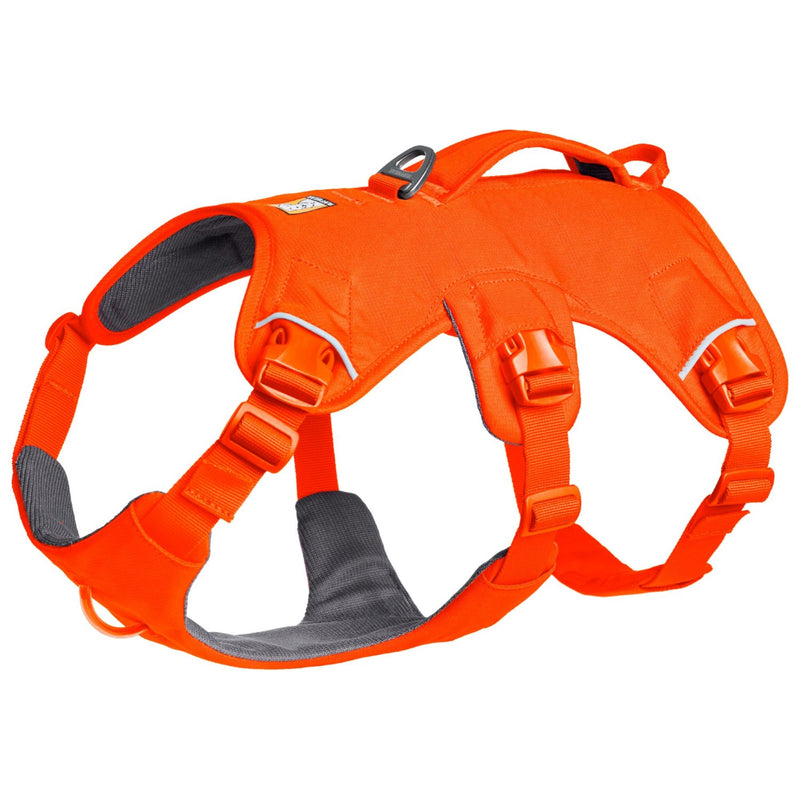 Ruffwear Web Master Multi-Use Dog Harness