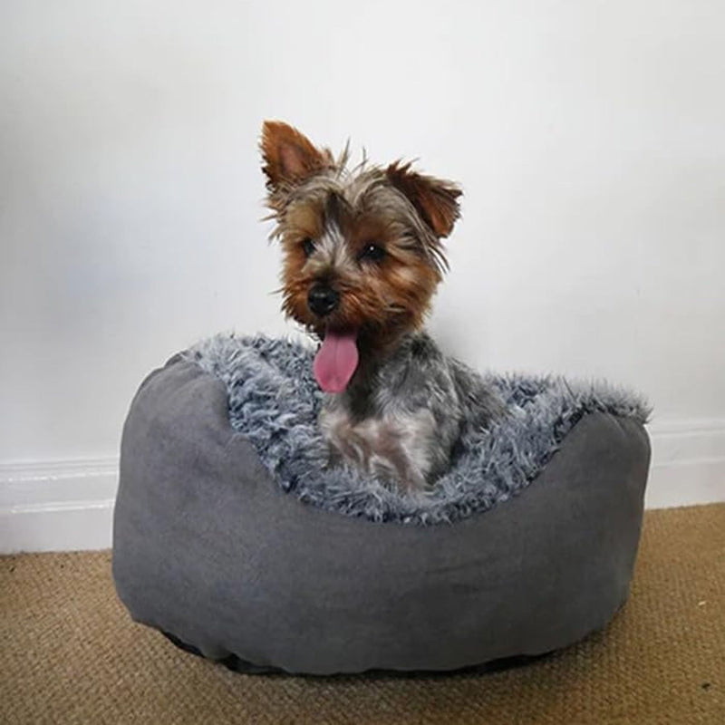 Rosewood Grey Lion Faux Suede Oval Pet Bed