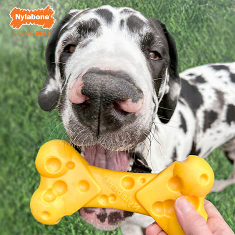 Nylabone Extreme Chew Cheese Bone