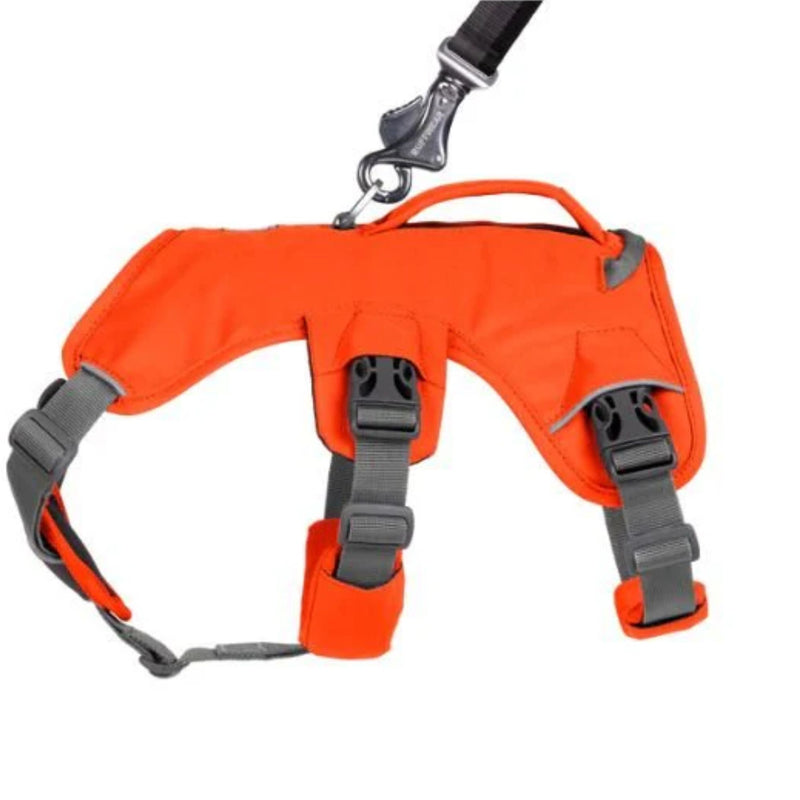 Ruffwear Web Master Multi-Use Dog Harness