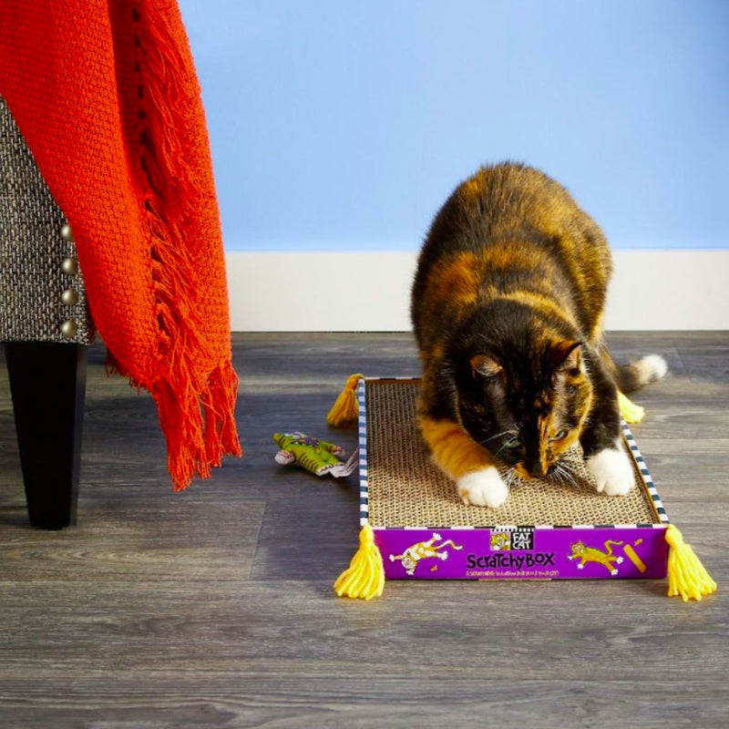 Fat Cat Big Mamas Scratchy Box Double Wide