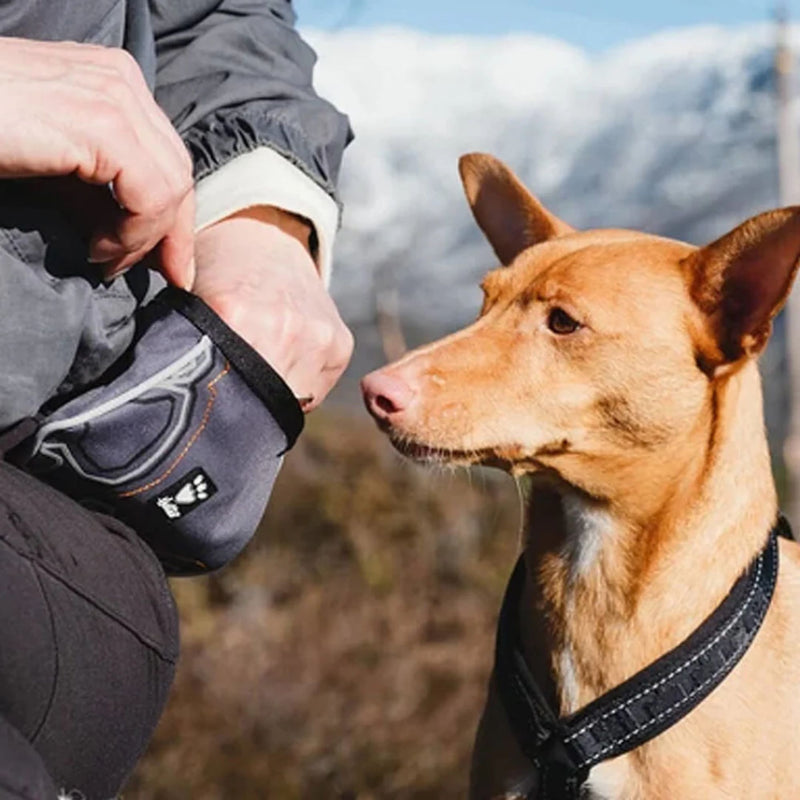 Hurtta Trick Pocket Dog Training Treat Pouch