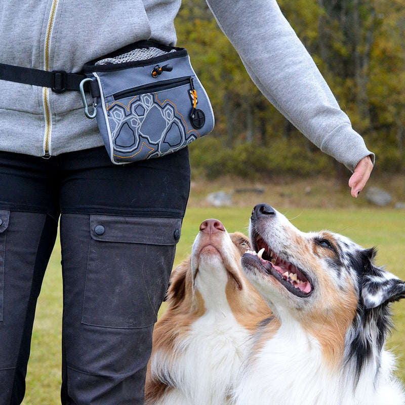 Hurtta Bounty Bag Dog Training Treat Pouch