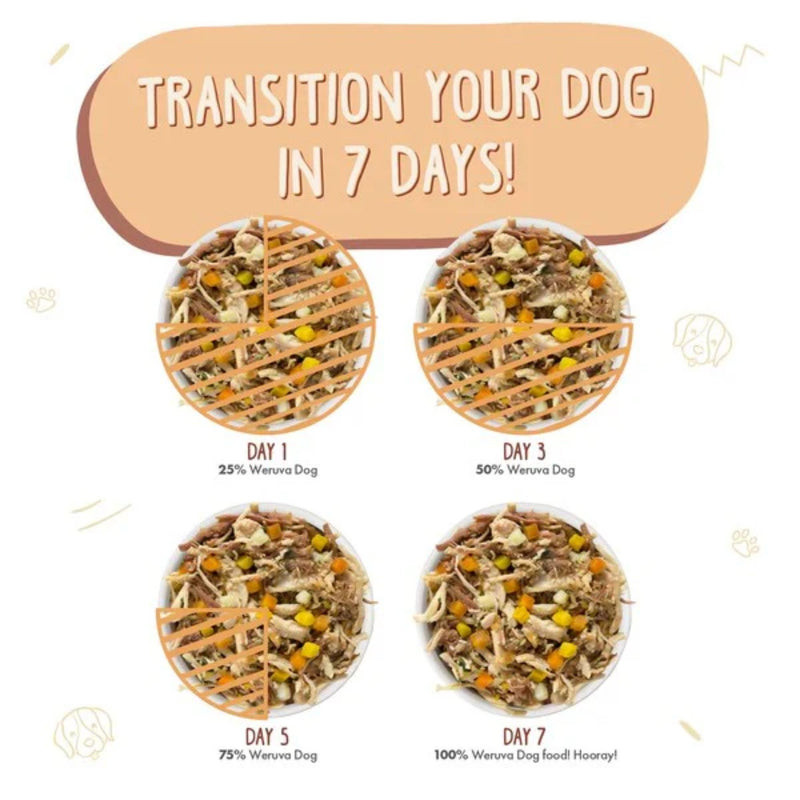 Weruva Wok the Dog - Chicken, Beef & Pumpkin in Gravy