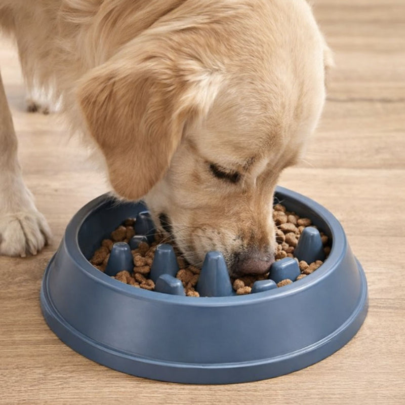 Zugo Mountain Peak Slow Feeder Pet Bowl