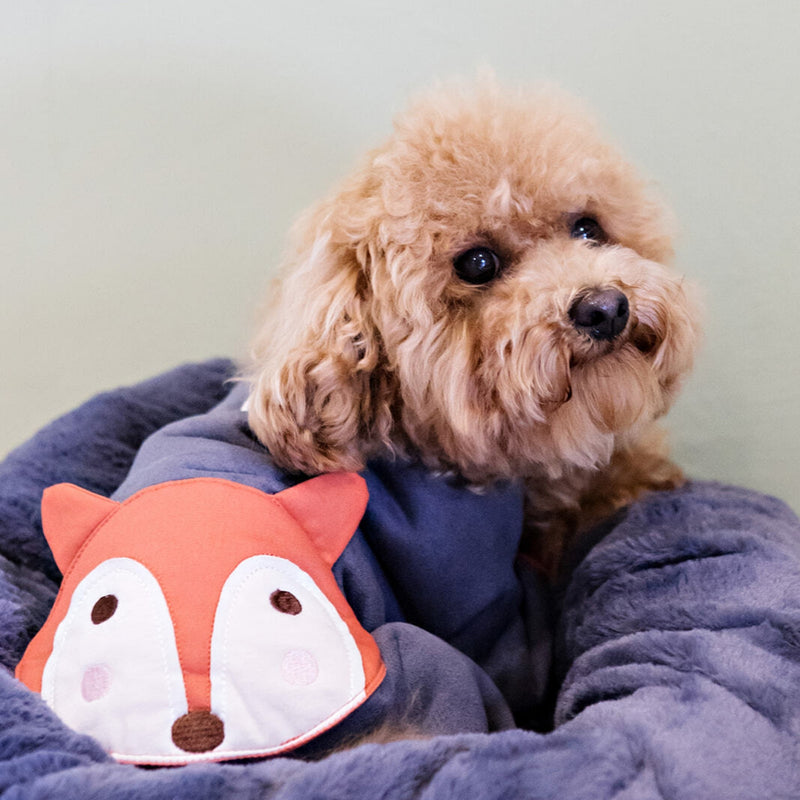 Dog's Life Calming Donut Cuddler Bolster Bed
