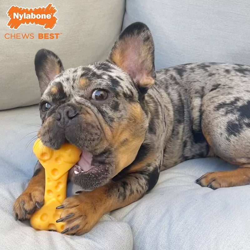 Nylabone Extreme Chew Cheese Bone
