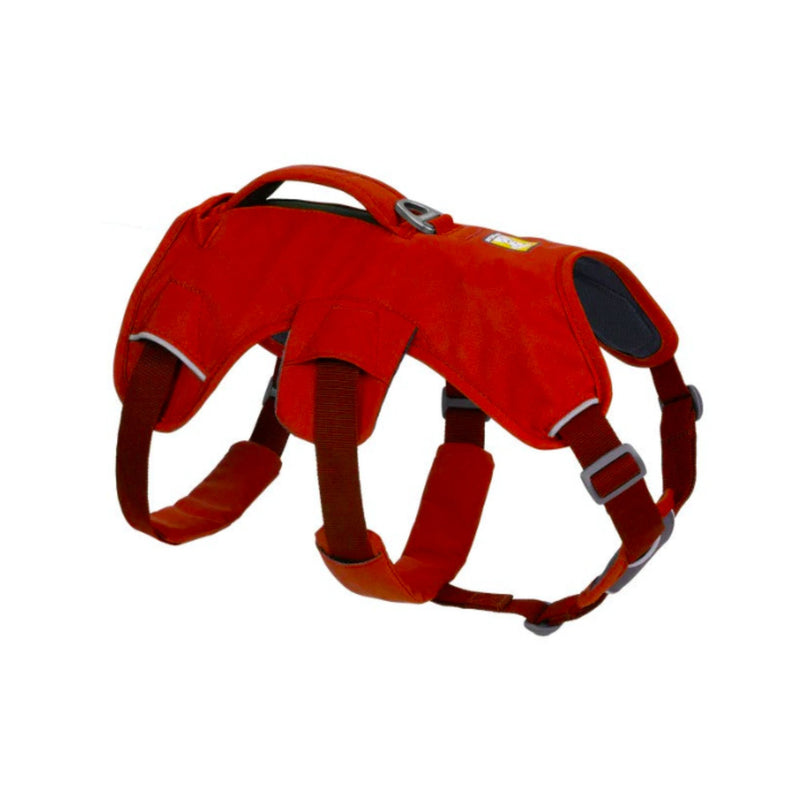 Ruffwear Web Master Multi-Use Dog Harness